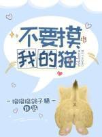 不要摸我的貓